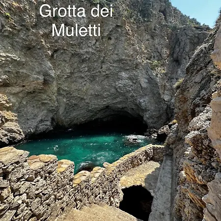 Fantastic Sea & Harbour View Nino Bixio